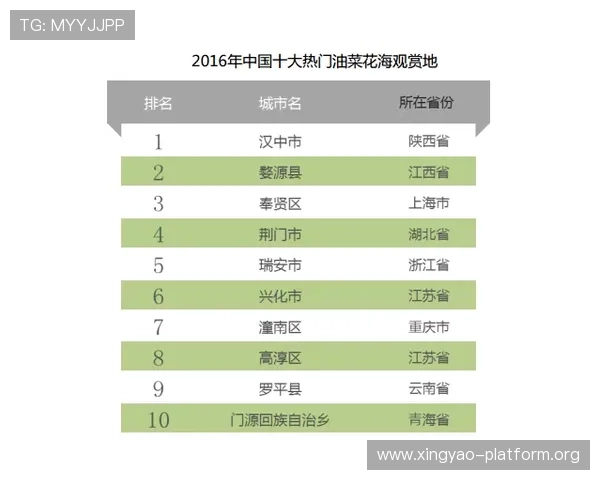 星空体育百家乐如何利用数据分析提升胜率,实用技巧全攻略 星空体育百家乐如何利用数据分析提升胜率,实用技巧全攻略